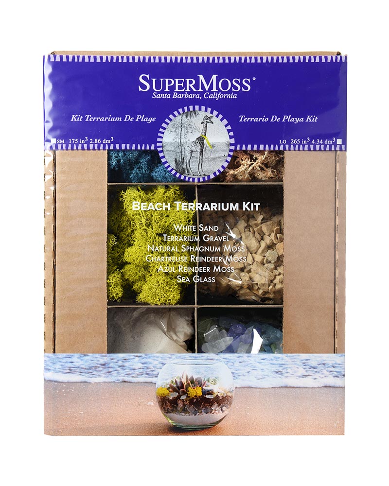 Beach Terrarium Kit