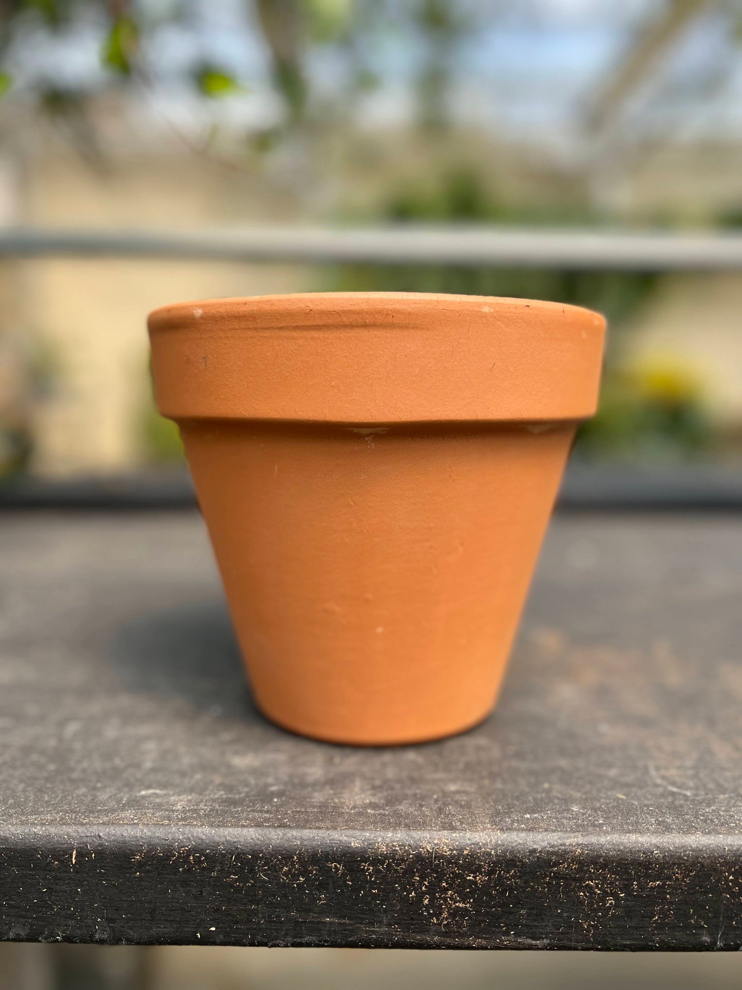 6.5" Standard Terra Cotta Clay Pot