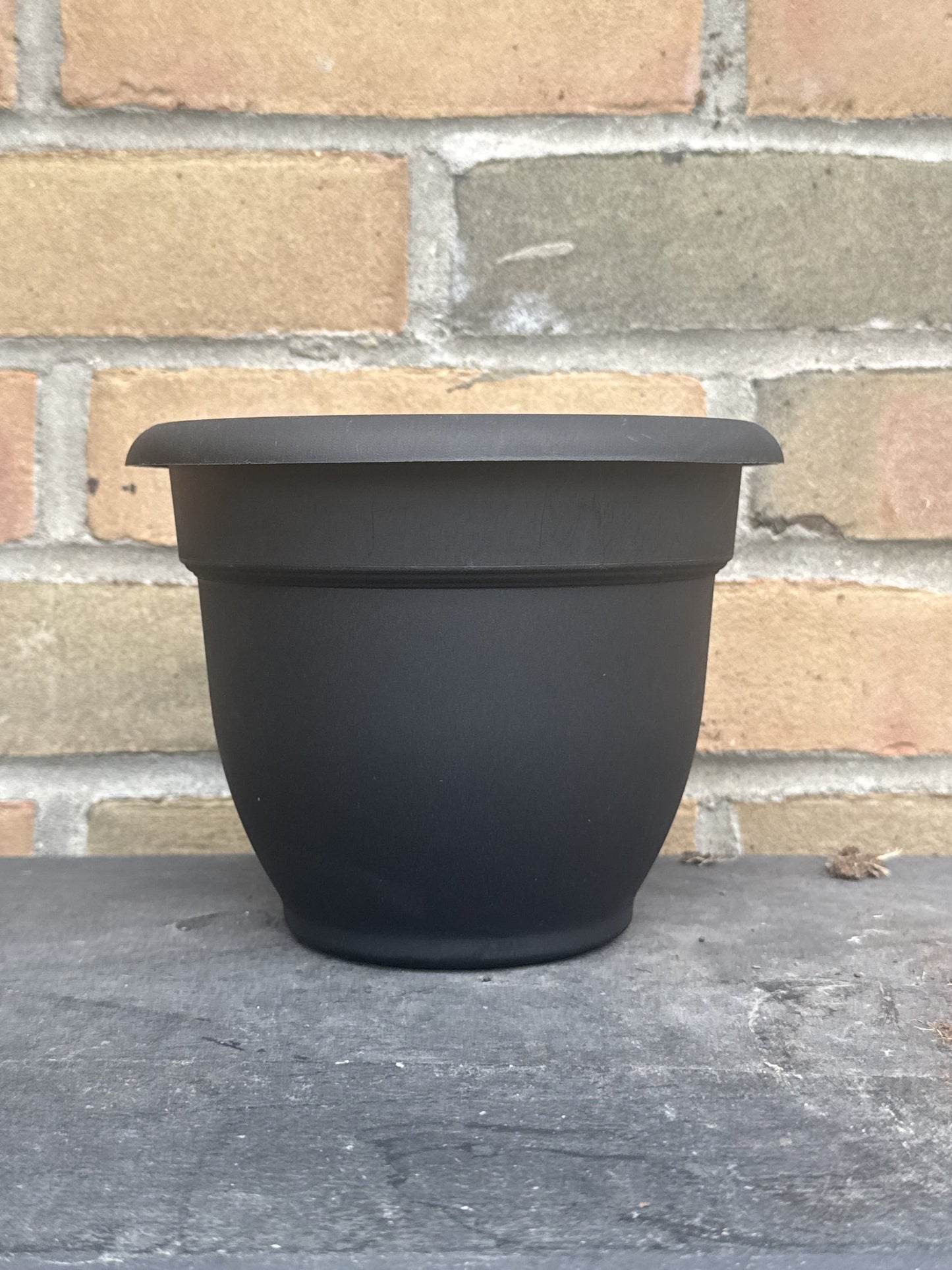 6" Ariana Pot - Black