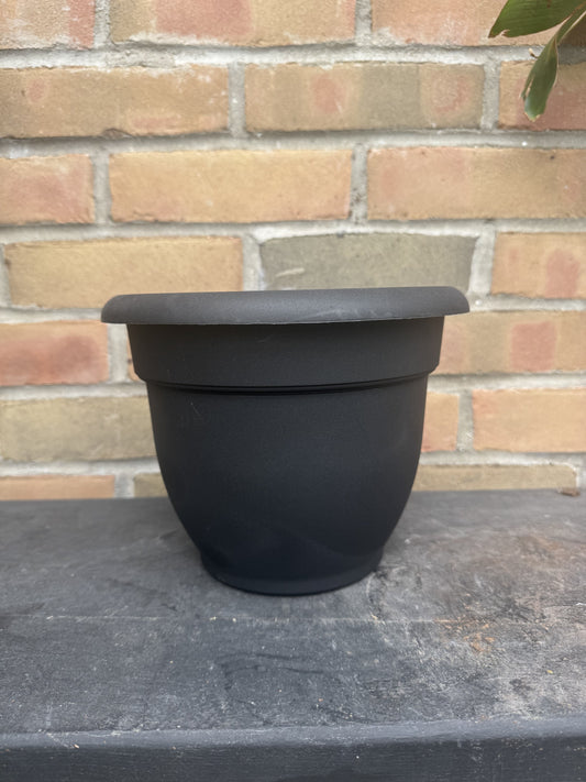 8" Ariana Pot - Black