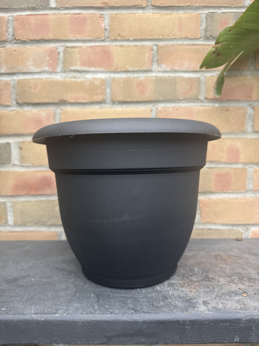 10" Ariana Pot - Black