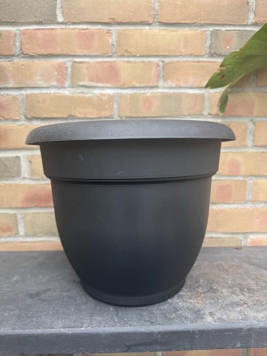 12" Ariana Pot - Black