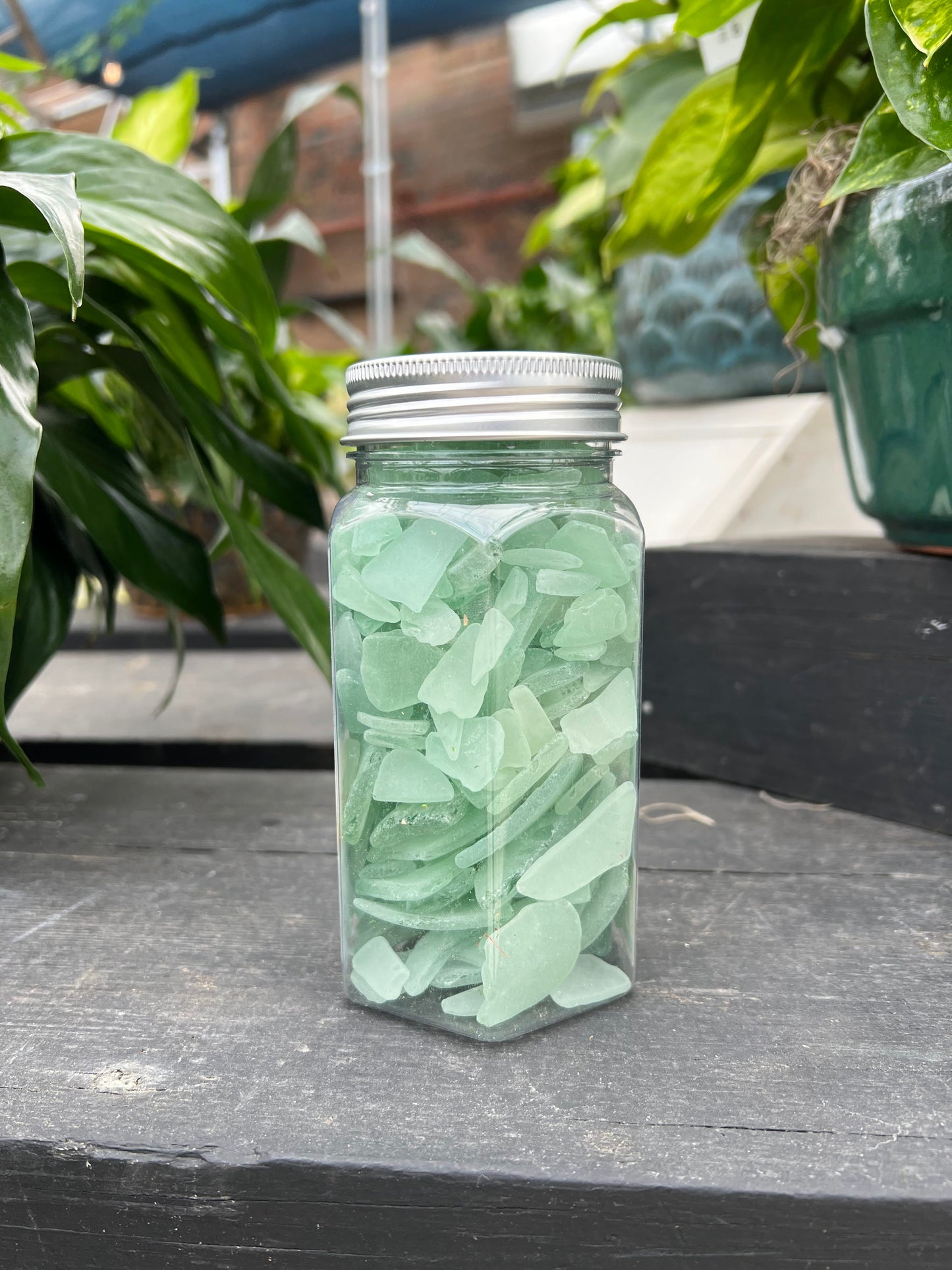 Sage Green Sea Glass - 12oz