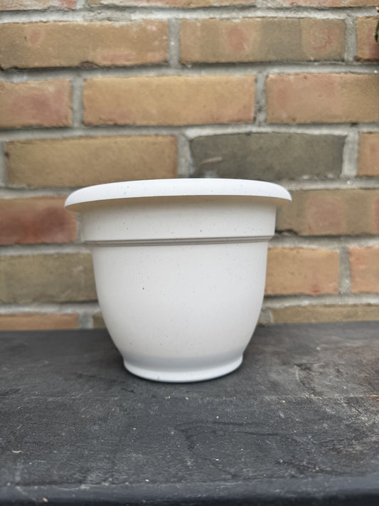 6" Ariana Pot - Vanilla Bean