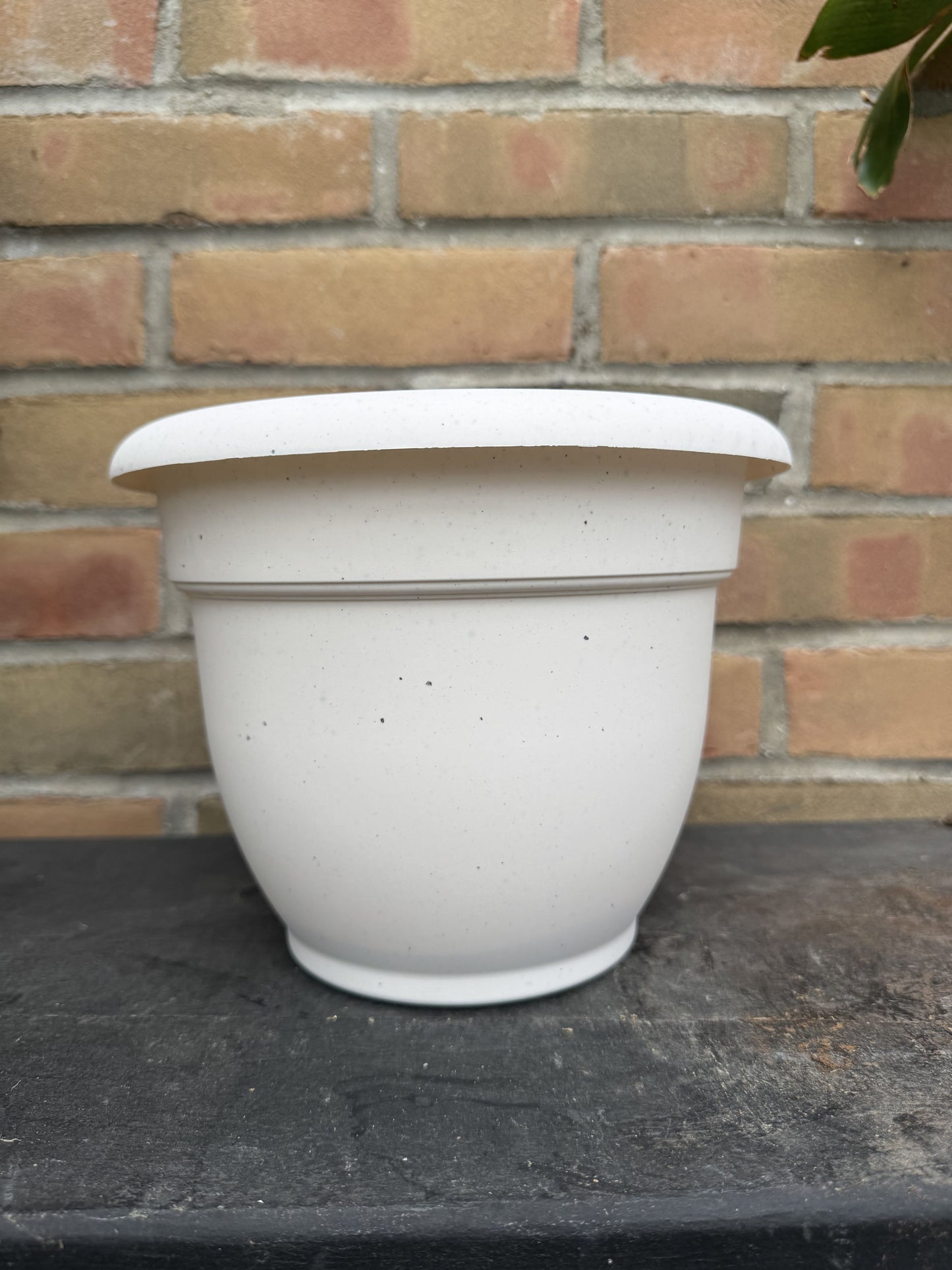 8" Ariana Pot - Vanilla Bean