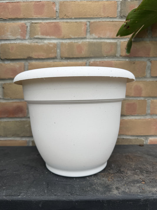 10" Ariana Pot - Vanilla Bean