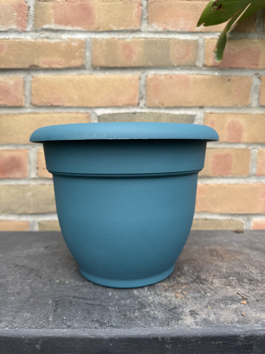 8" Ariana Pot - Charleston Green