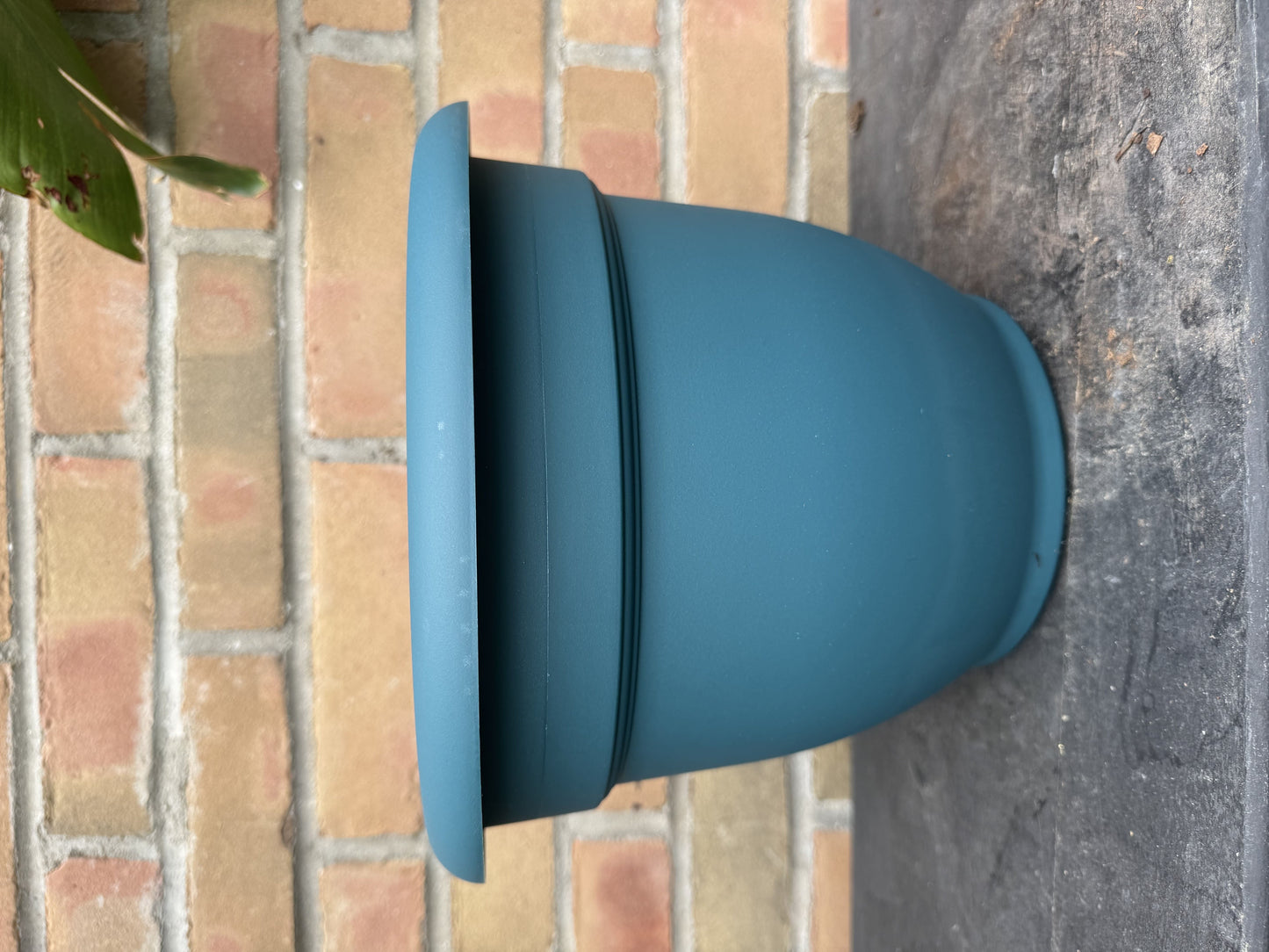 10" Ariana Pot - Charleston Green