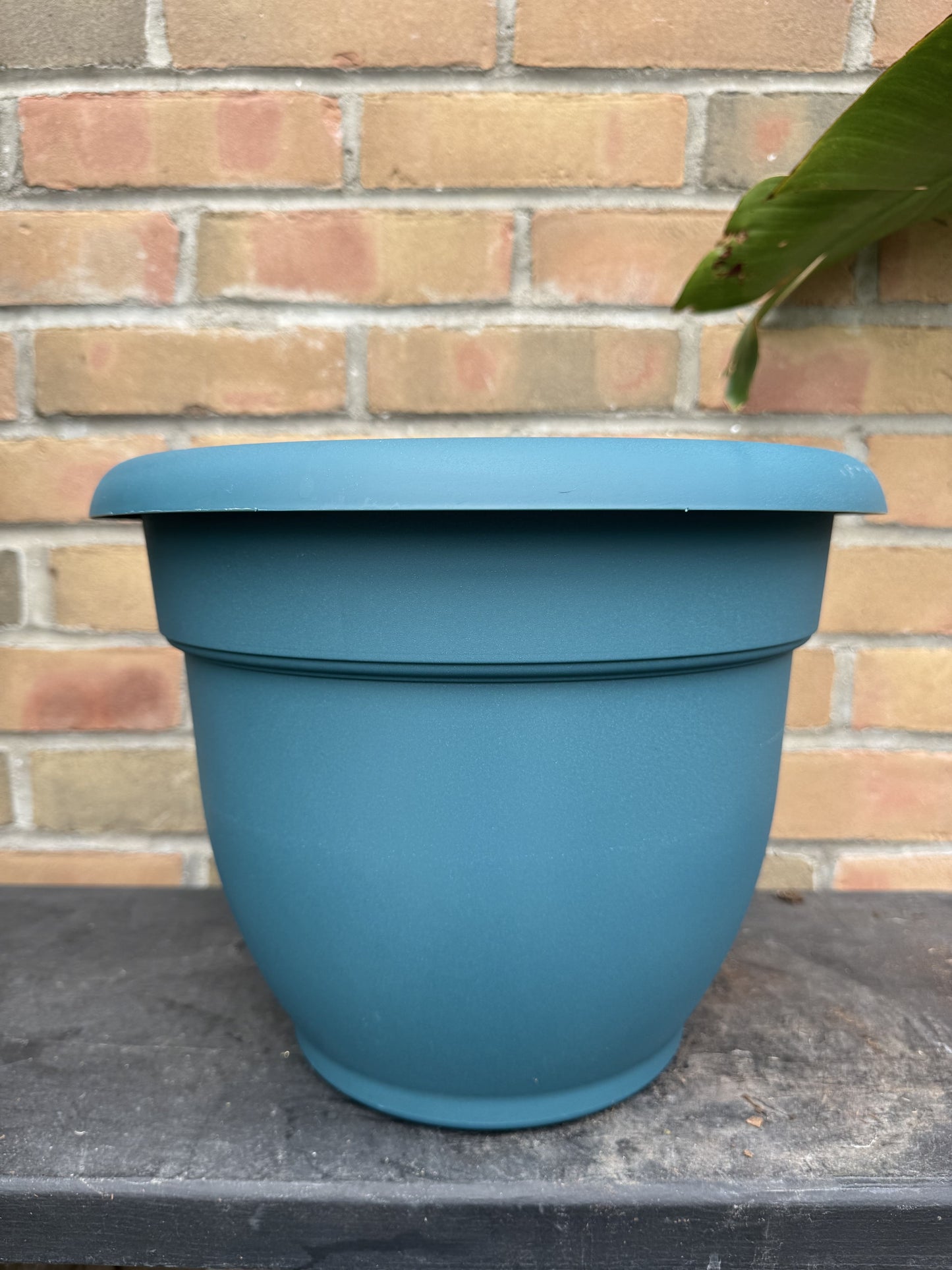 12" Ariana Pot - Charleston Green