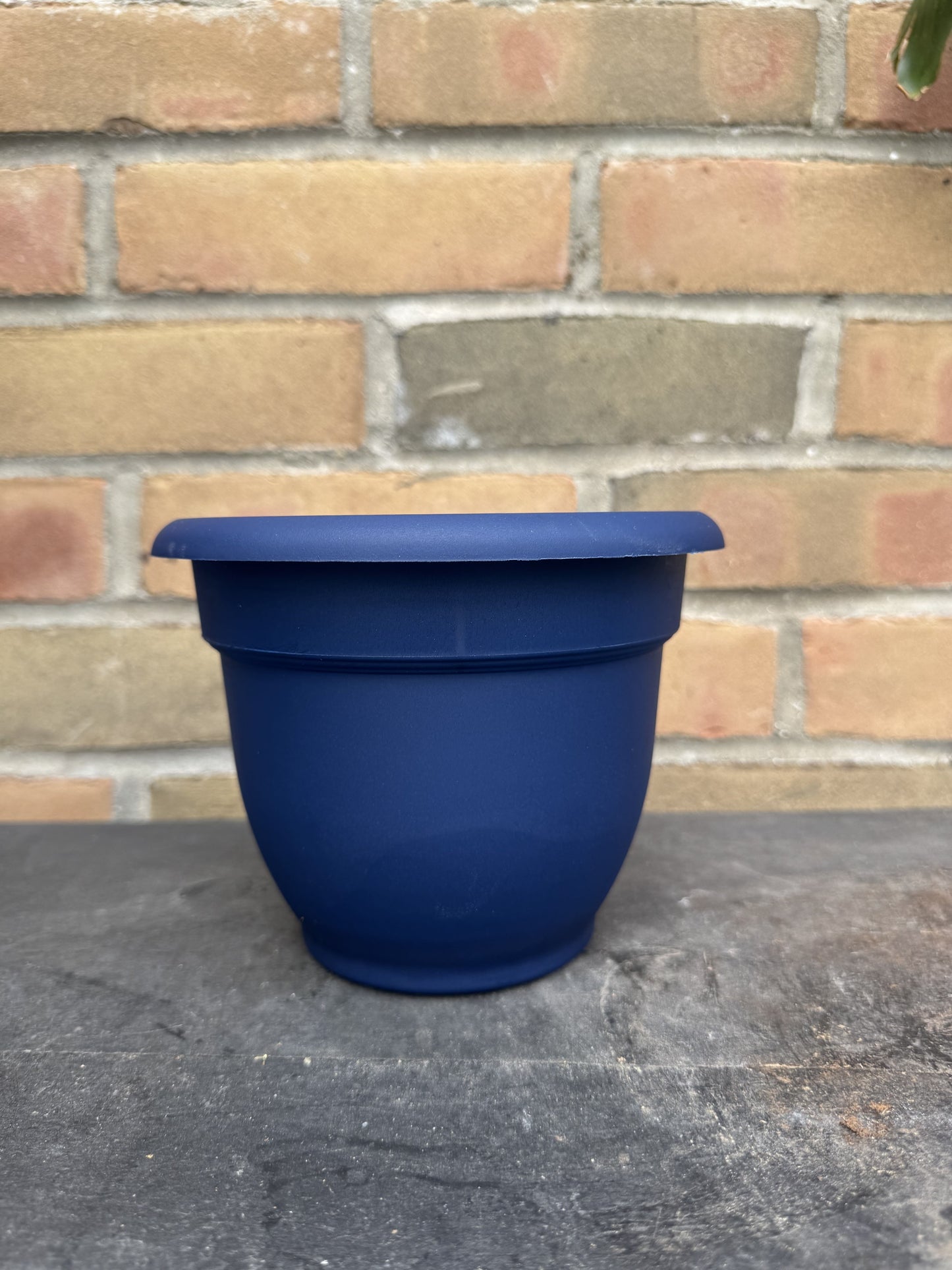 6" Ariana Pot - Navy