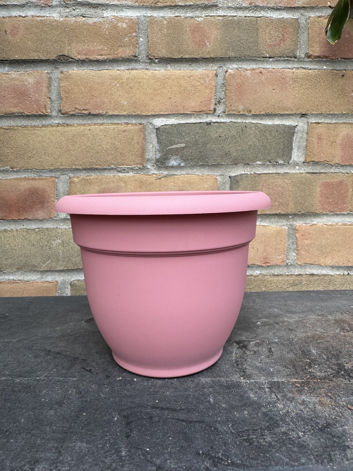 6" Ariana Pot - Dusty Rose