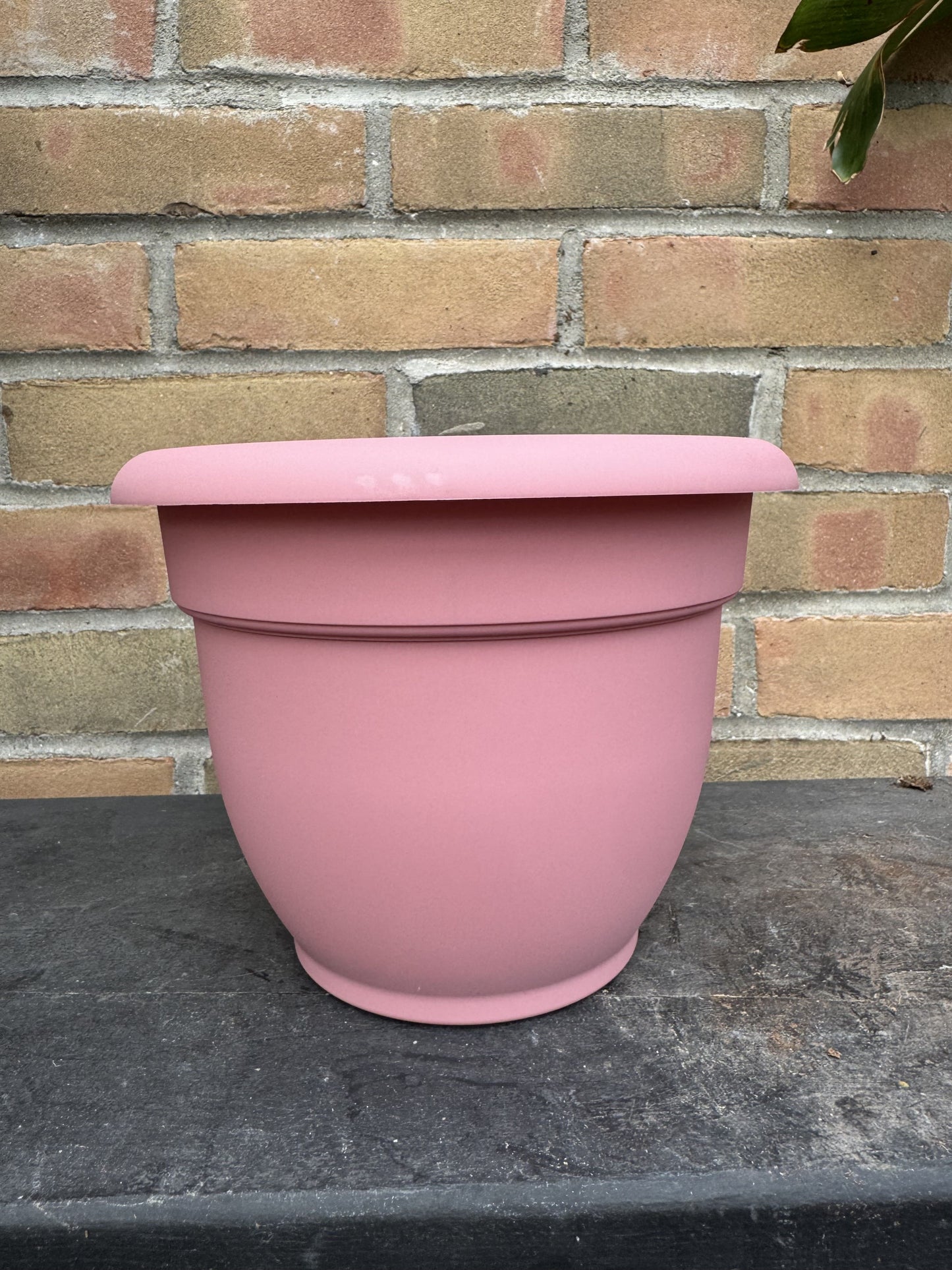 8" Ariana Pot - Dusty Rose