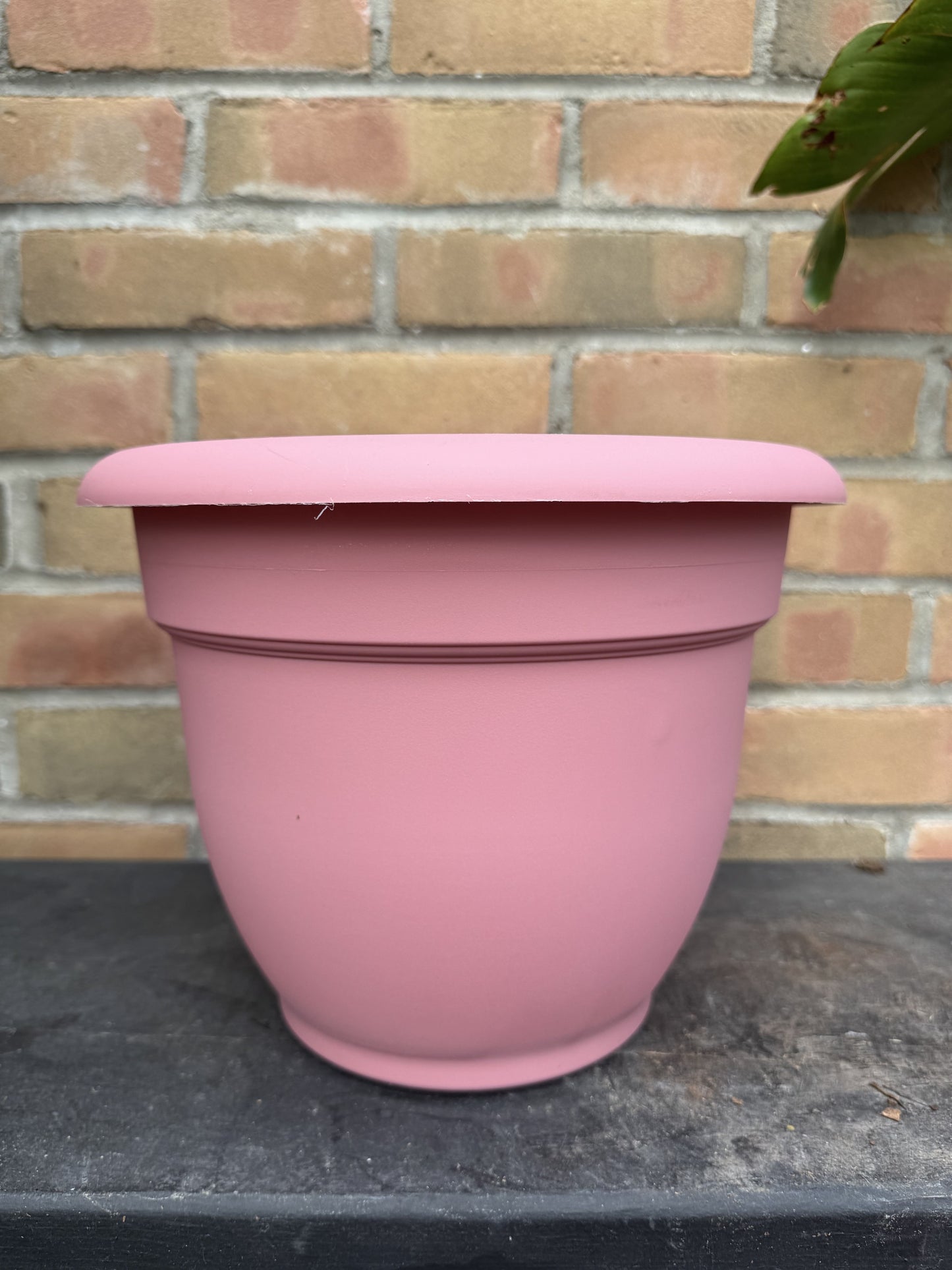 10" Ariana Pot - Dusty Rose