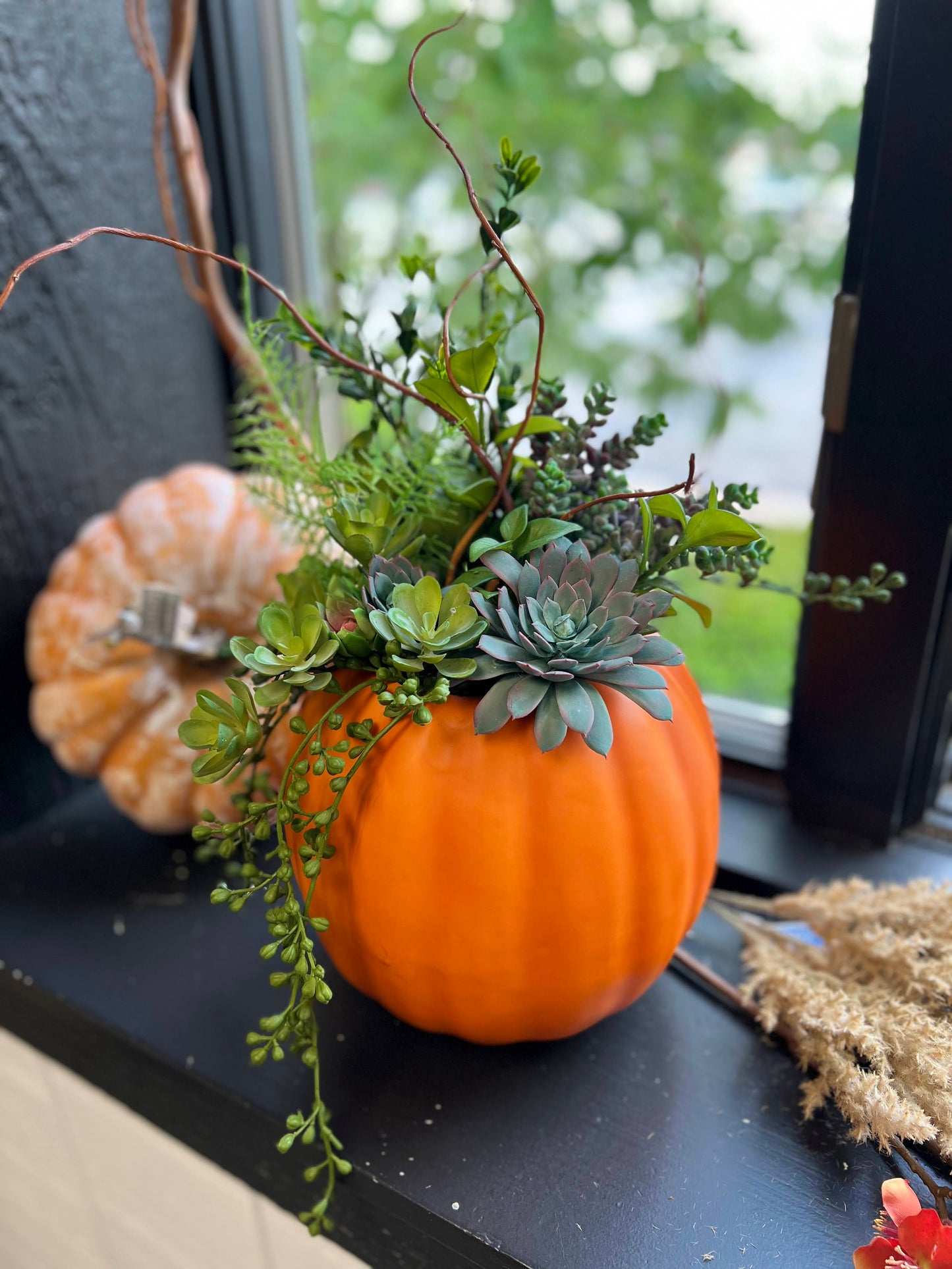 Succulent Pumpkin