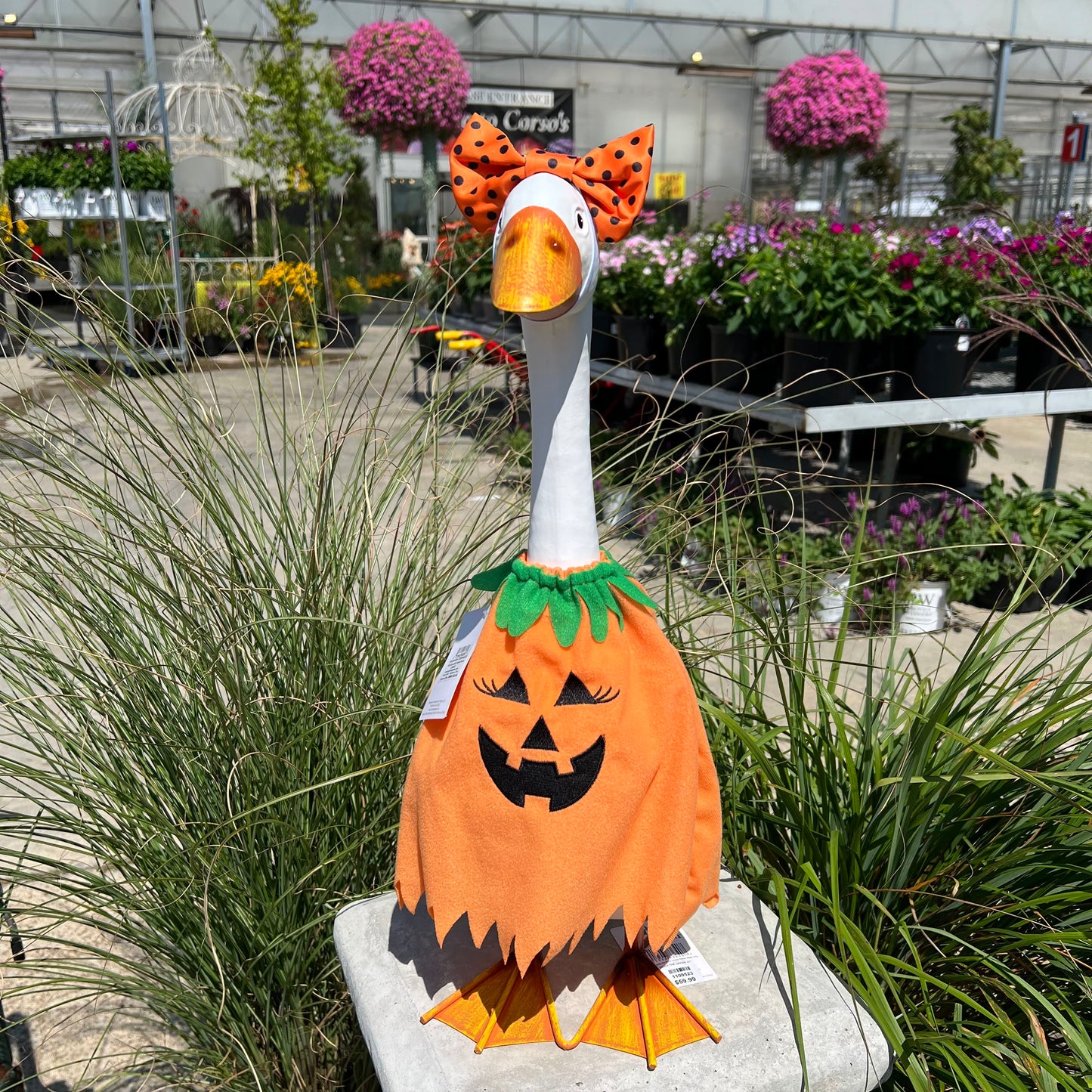 Pumpkin Poncho - Giddy Outfit