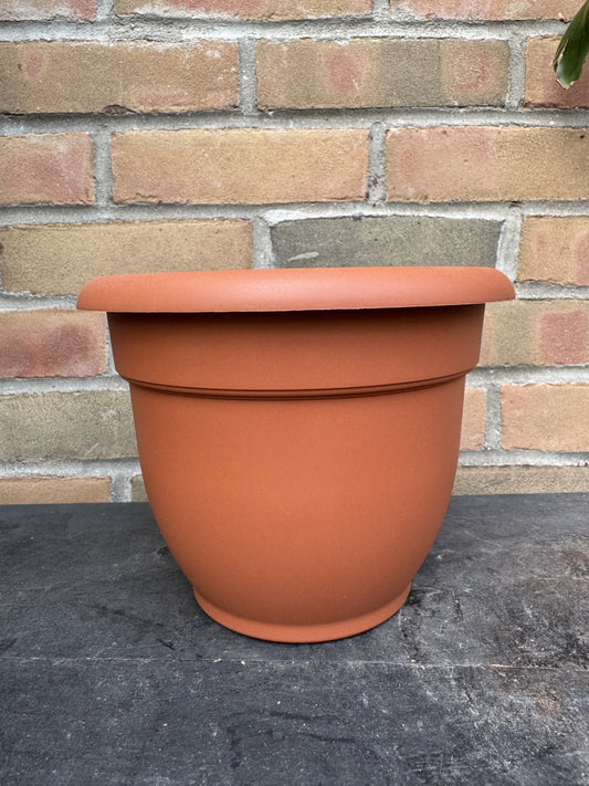 8" Ariana Pot - Terra Cotta