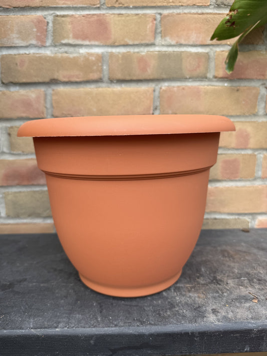 10" Ariana Pot - Terra Cotta