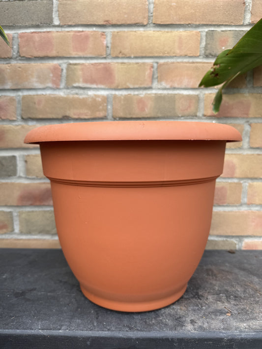 12" Ariana Pot - Terra Cotta