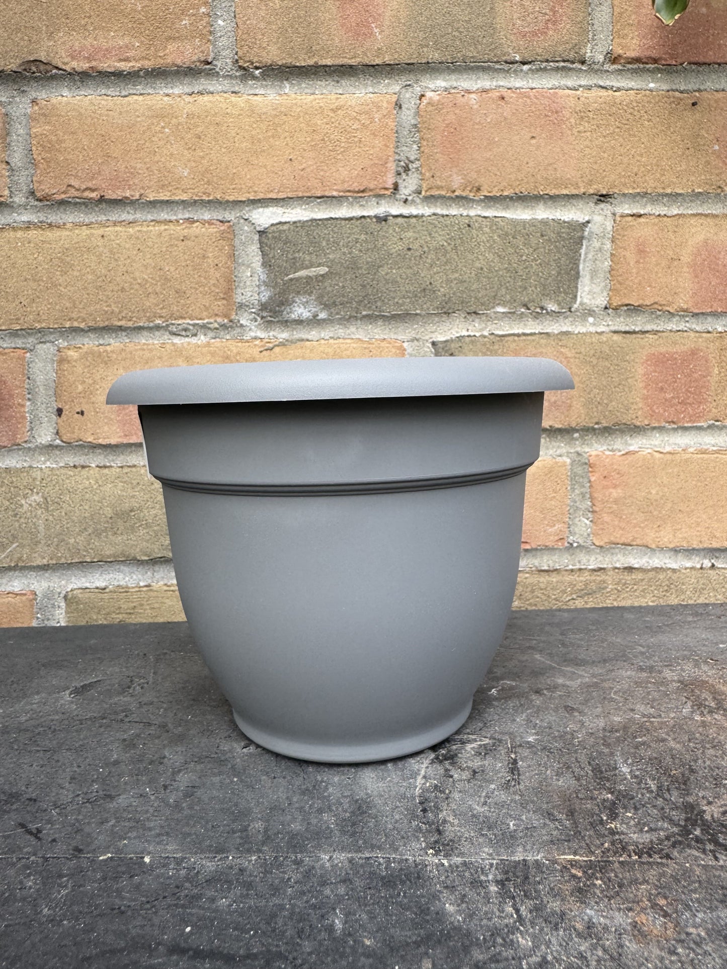 6" Ariana Pot - Charcoal