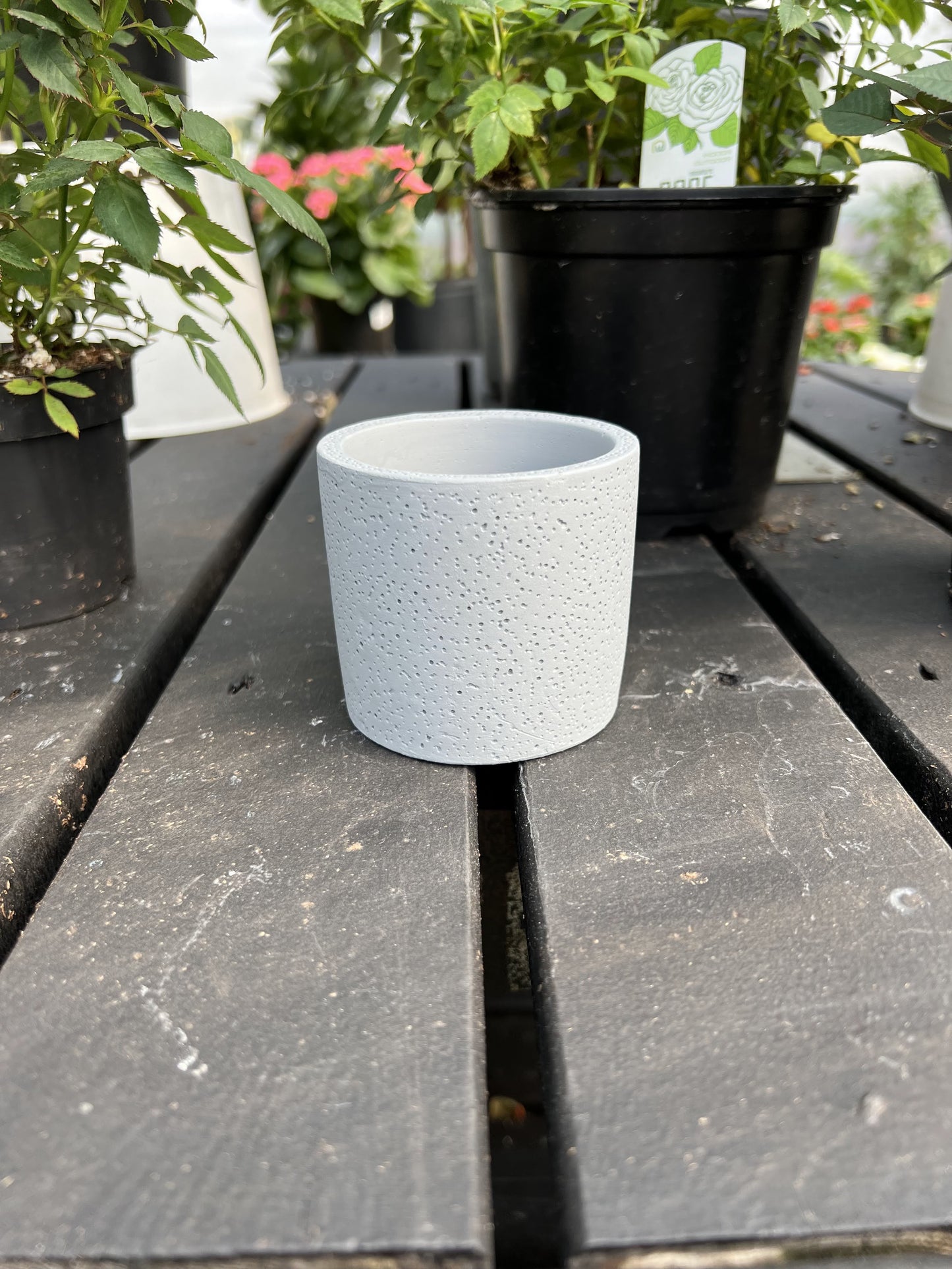 3.15" Round Cement Planter