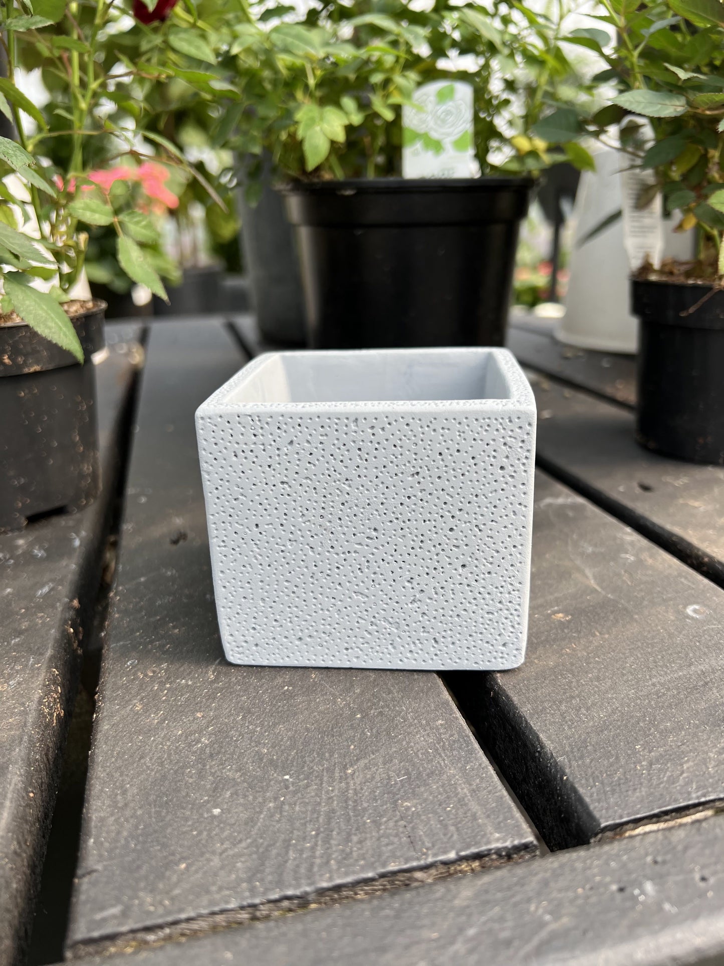 3.15" Square Cement Planter