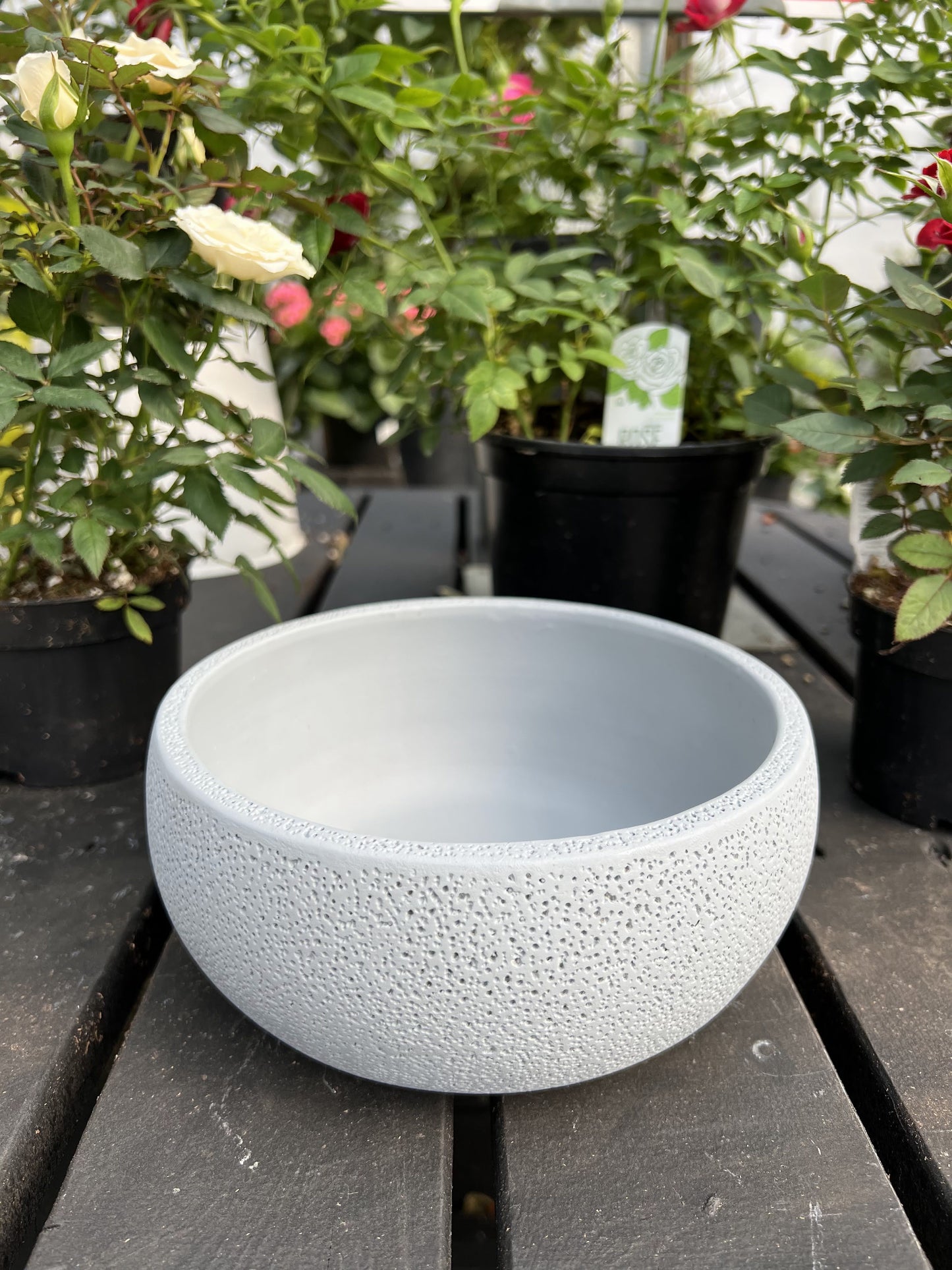 7.09" Cement Bowl Planter
