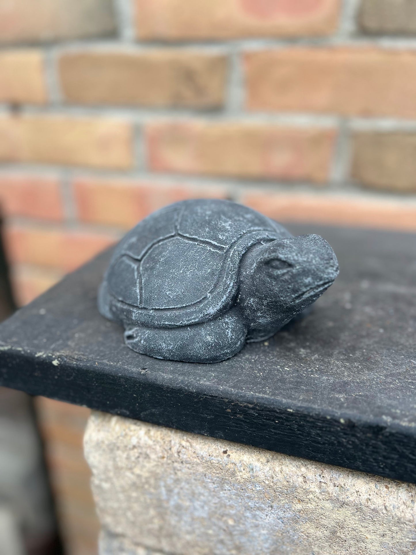 6.3" Turtle Statue