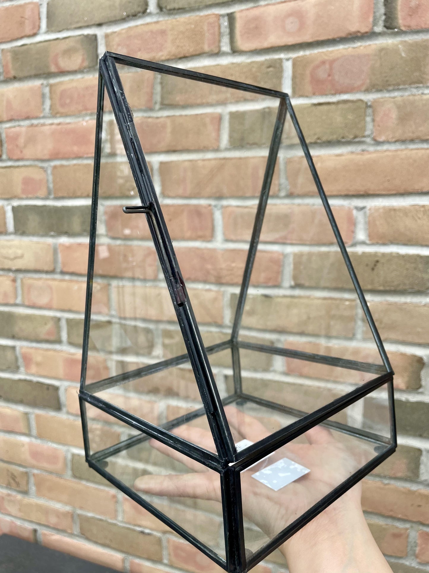 6" x 10" Terrarium
