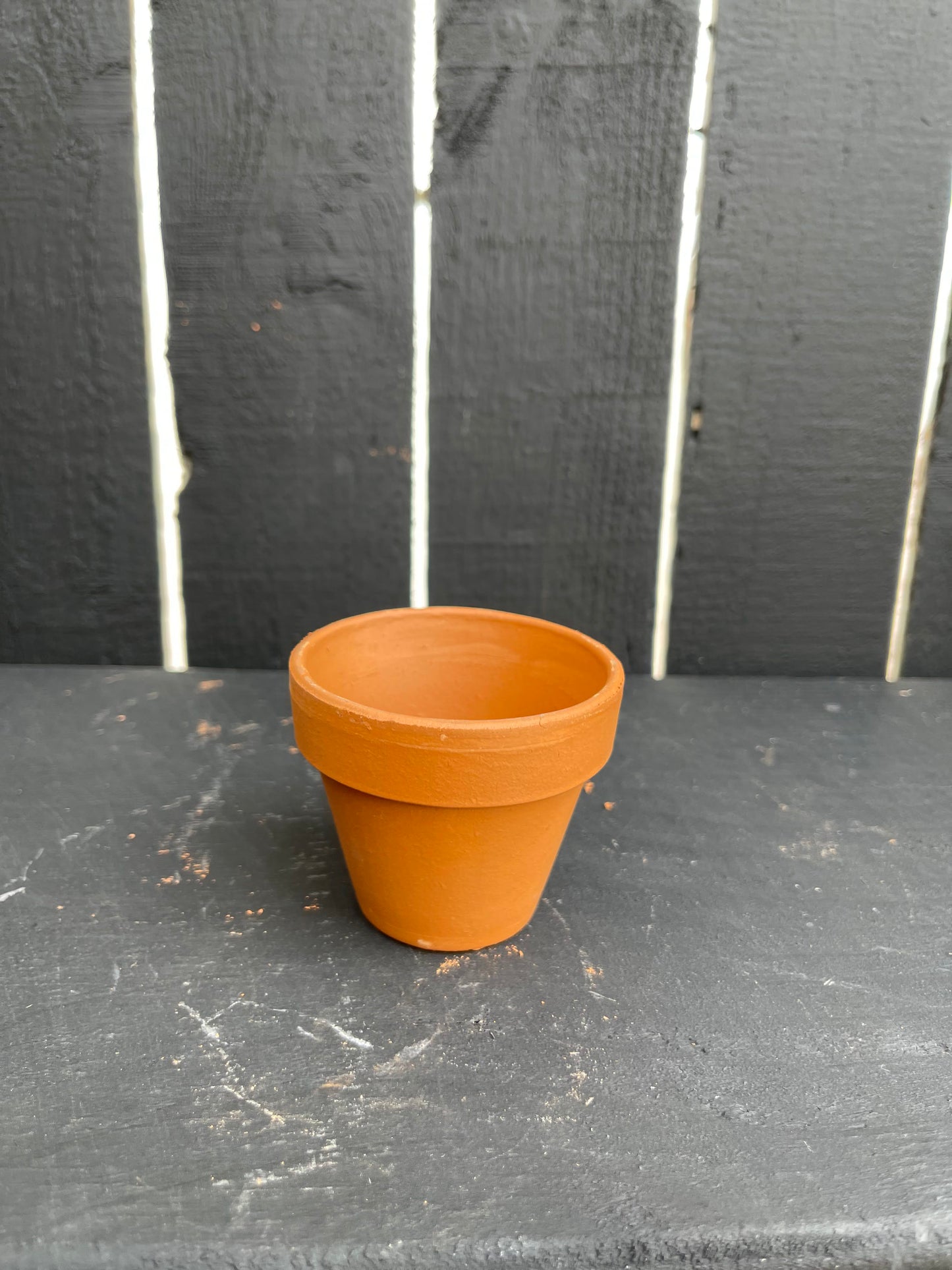 2.8" Standard Terra Cotta Clay Pot