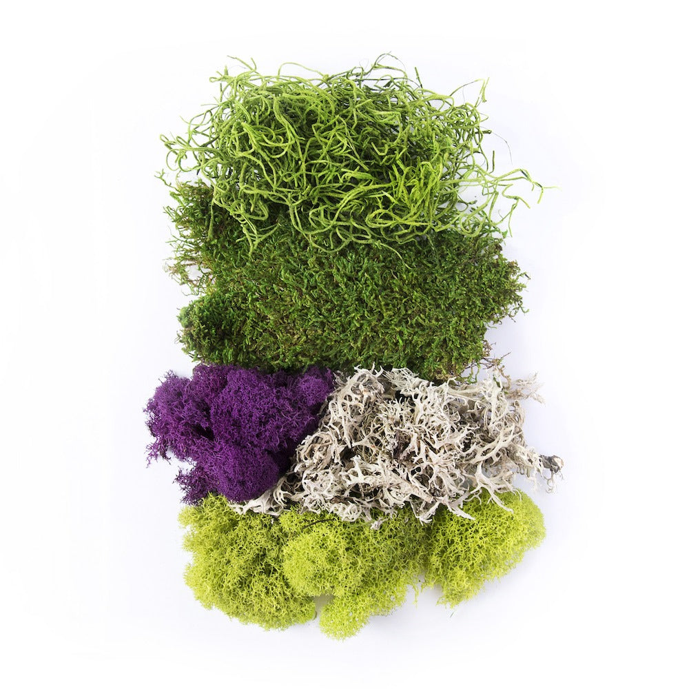 Mixed Moss - 2oz