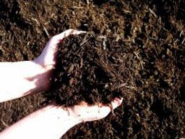 Bark Mulch - 2 CF Bag