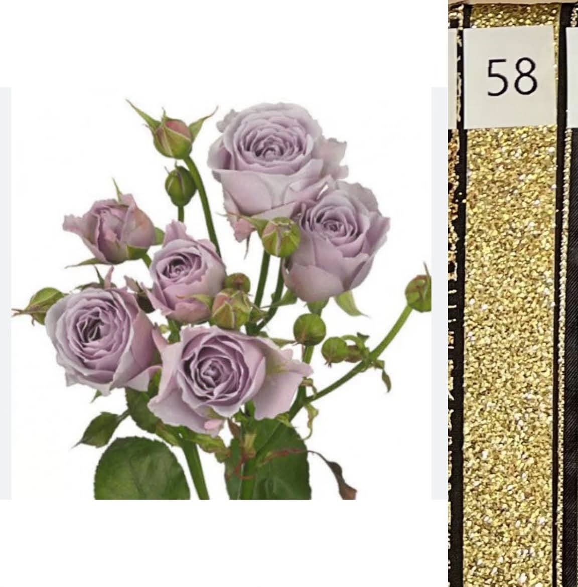 BOU25P^LAVENDER^58. GOLD SEQUIN.jpg?0