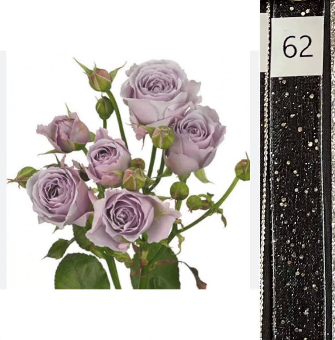 BOU25P^LAVENDER^62. BLACK SEQ..jpg?0