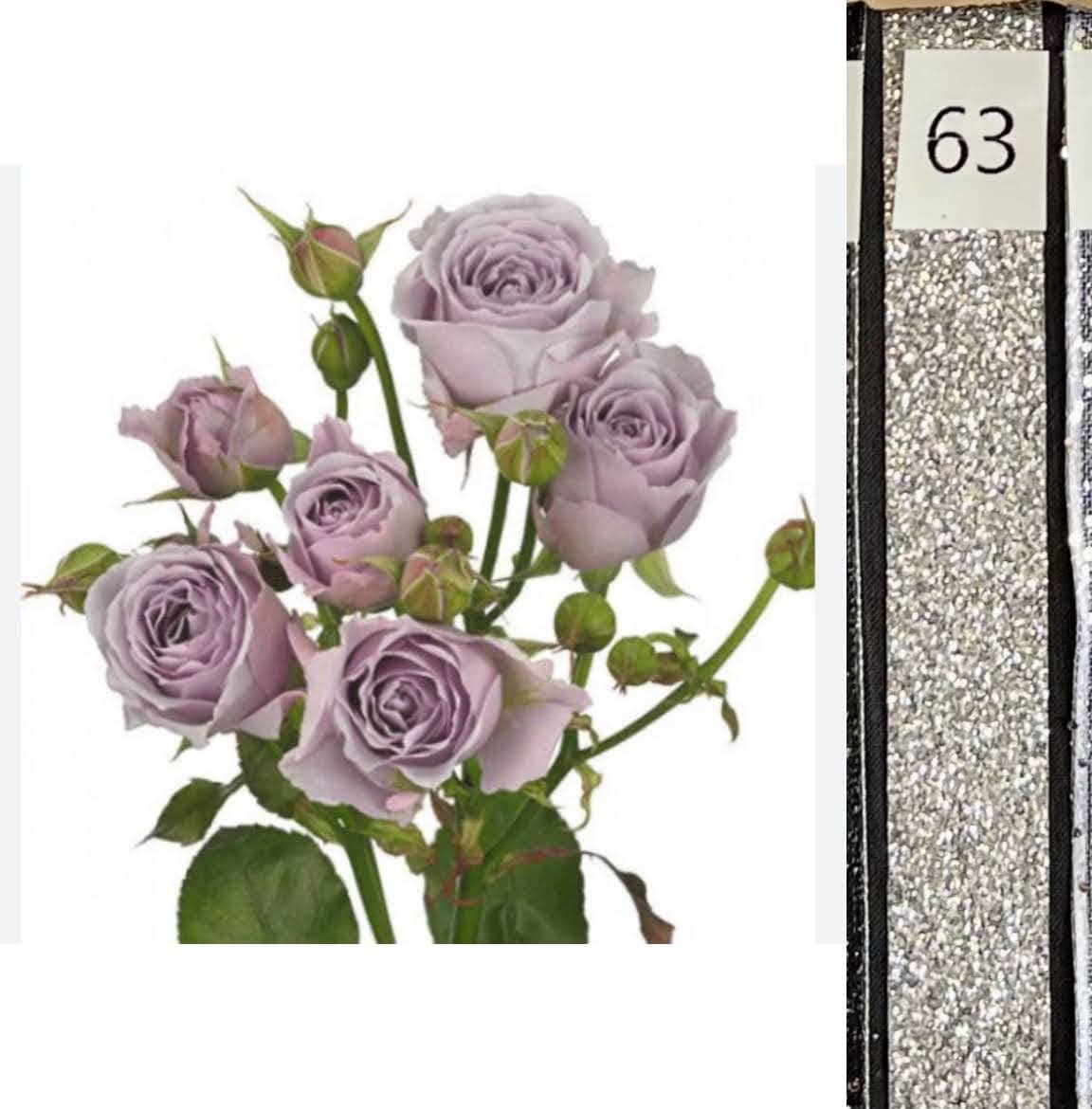 BOU25P^LAVENDER^63. SILVER SEQ..jpg?0