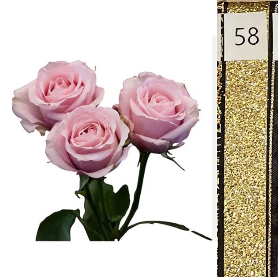 BOU25P^PINK^58. GOLD SEQUIN.jpg?0