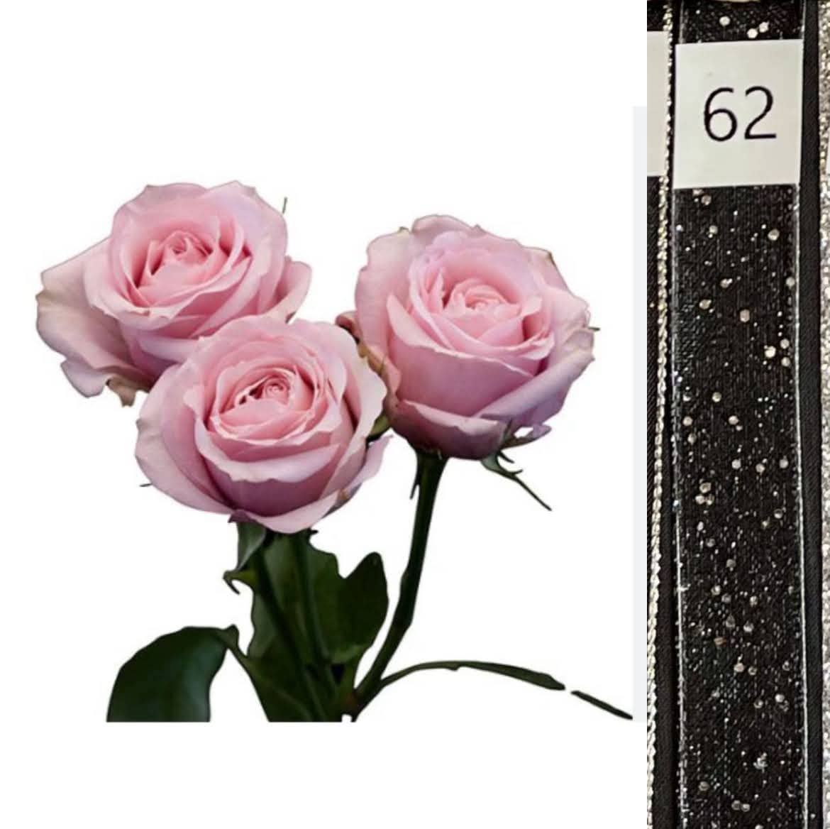 BOU25P^PINK^62. BLACK SEQ..jpg?0