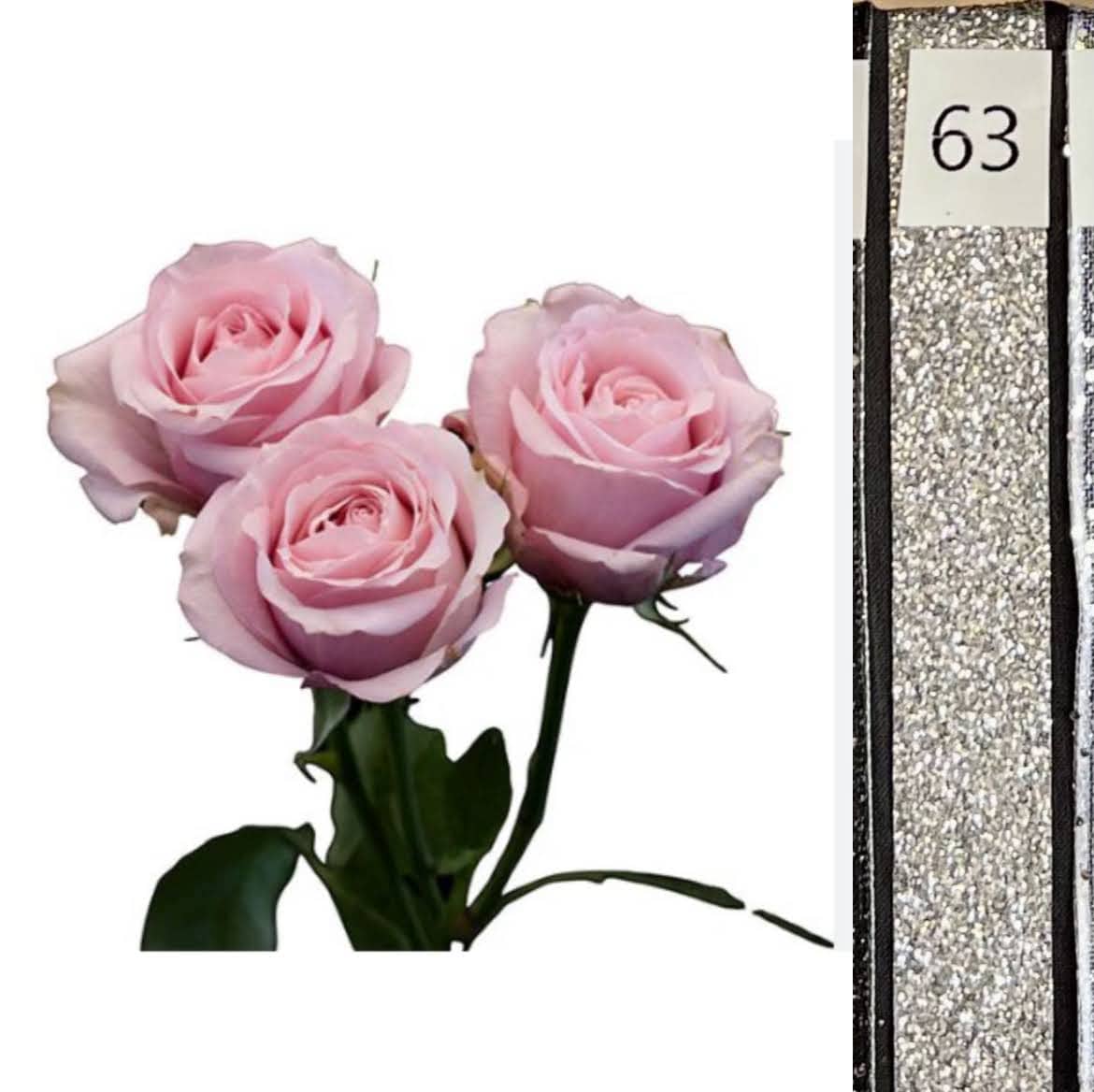 BOU25P^PINK^63. SILVER SEQ..jpg?0