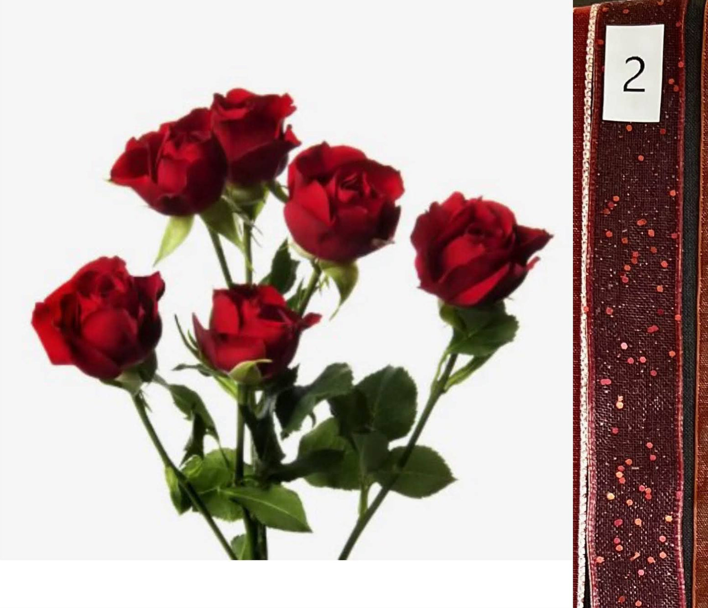 BOU25P^RED^2. RED SEQUIN.jpg?0