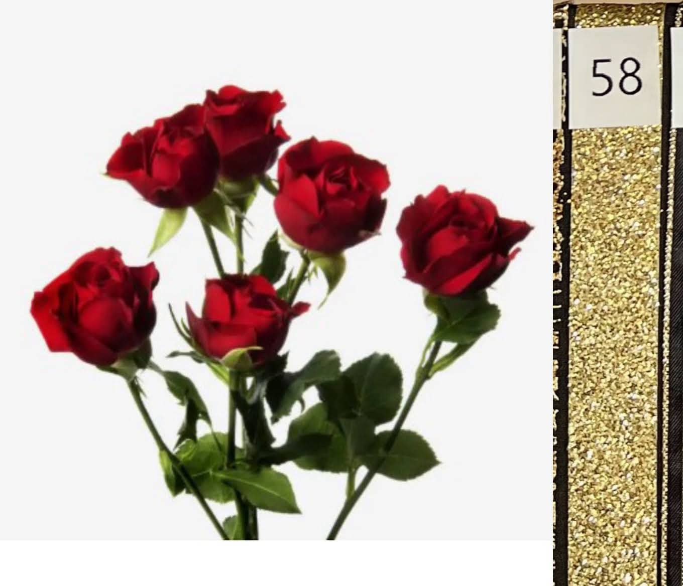 BOU25P^RED^58. GOLD SEQUIN.jpg?0