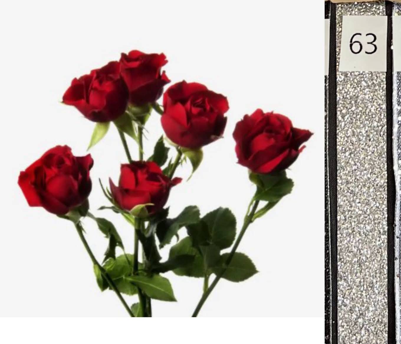 BOU25P^RED^63. SILVER SEQ..jpg?0
