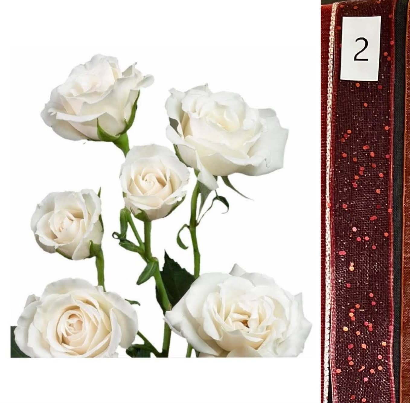 BOU25P^WHITE^2. RED SEQUIN.jpg?0