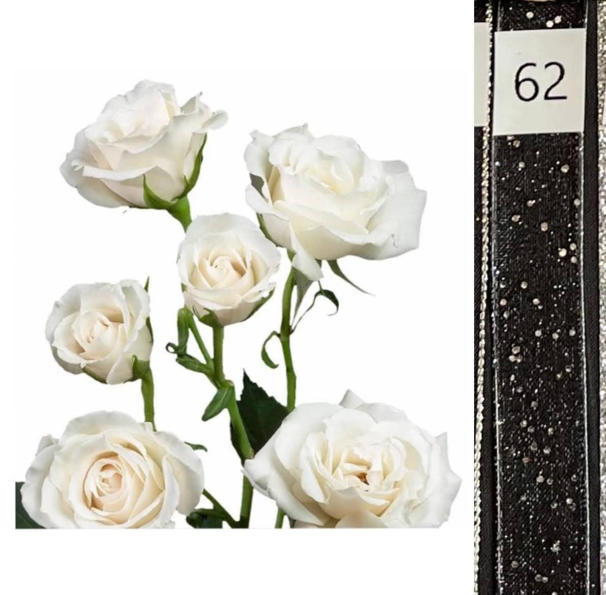 BOU25P^WHITE^62. BLACK SEQ..jpg?0