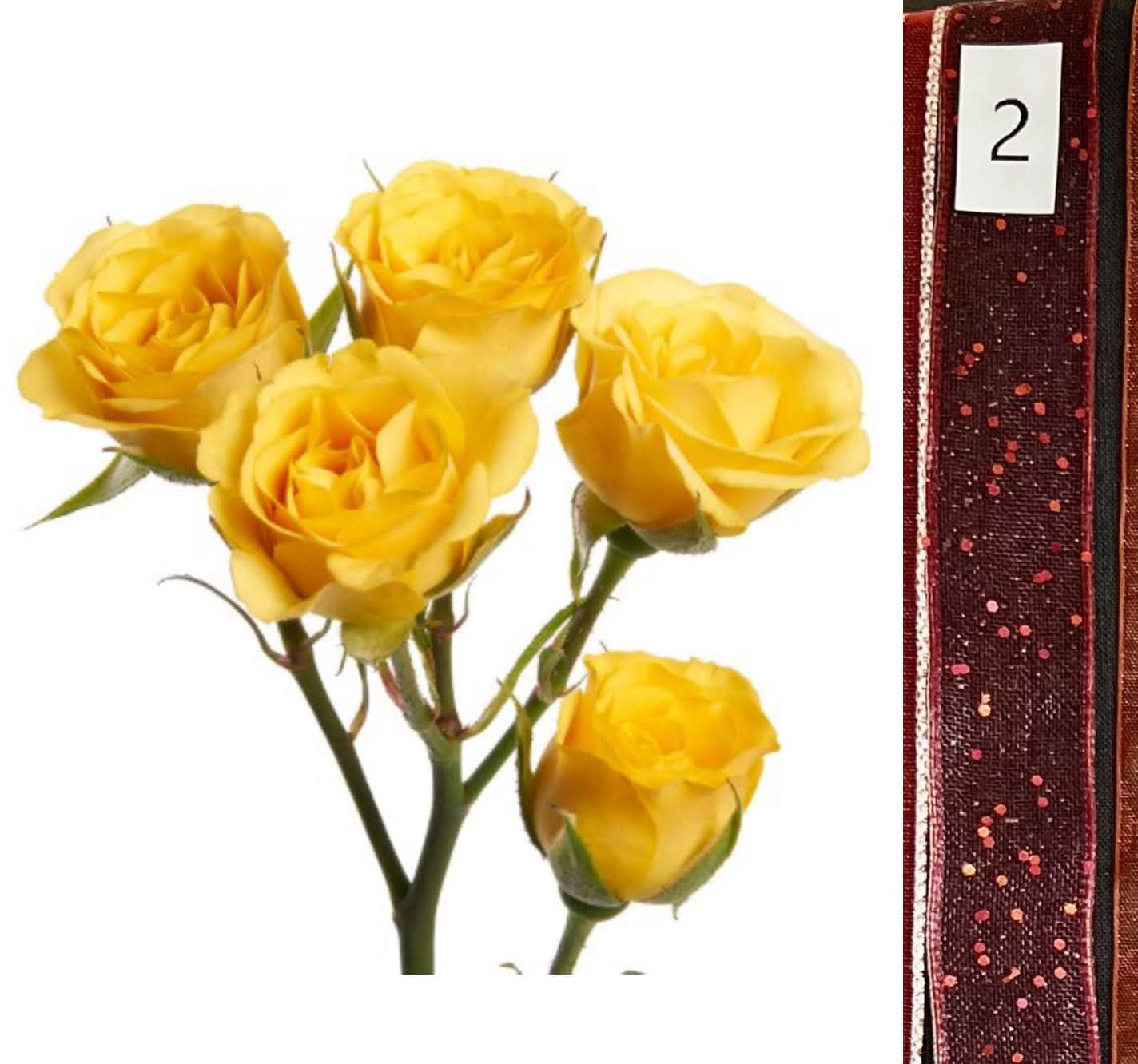BOU25P^YELLOW^2. RED SEQUIN.jpg?0