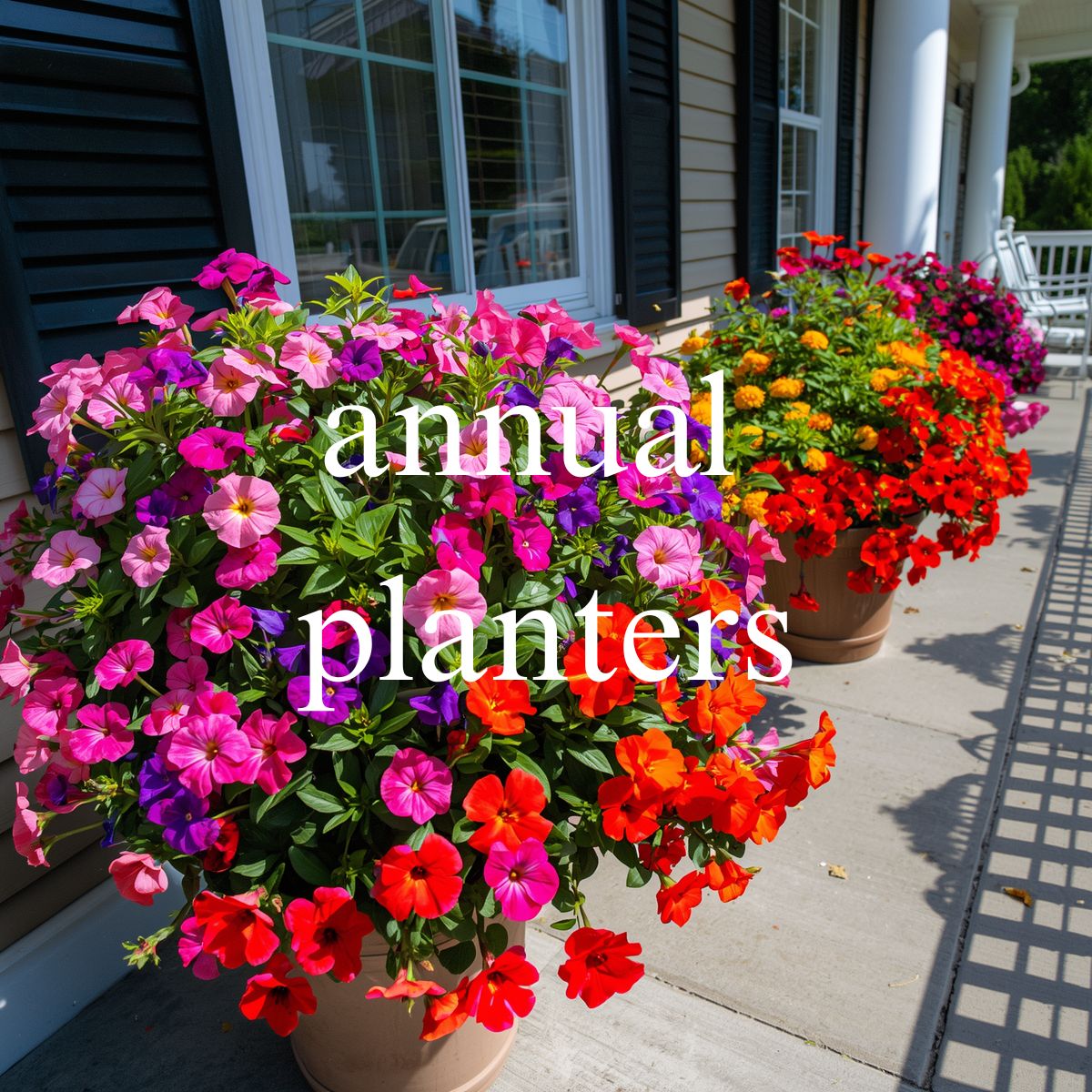 Annual Planters
