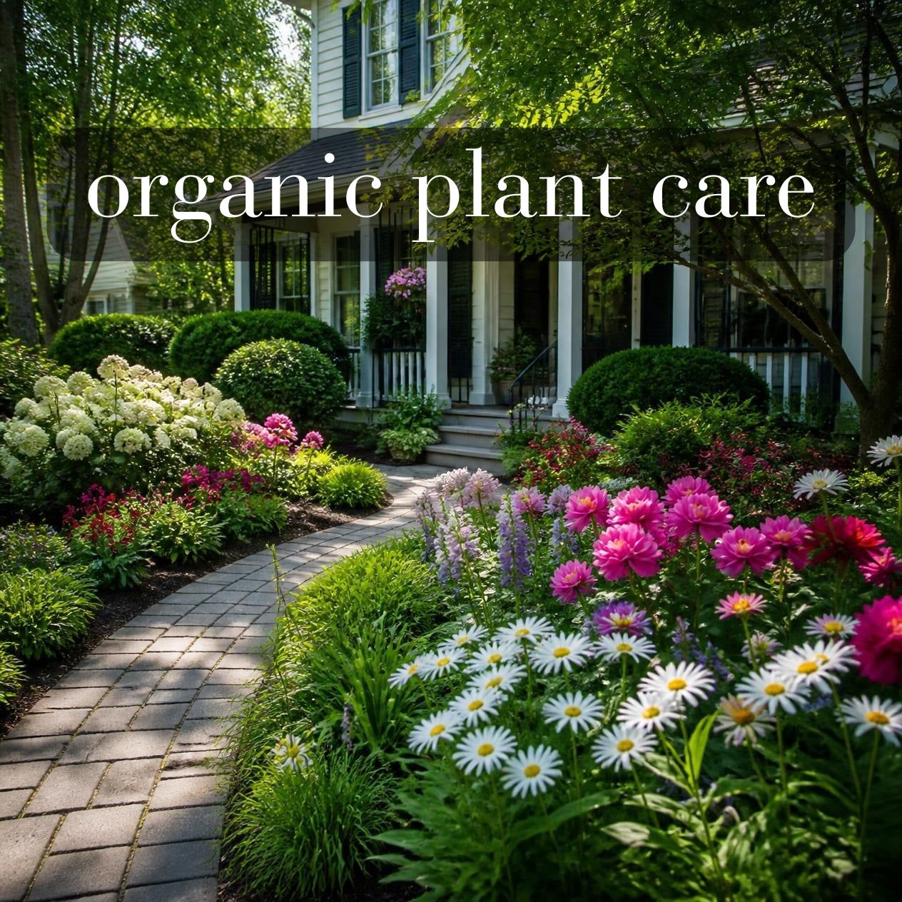 Organic Lawn & Plant Care