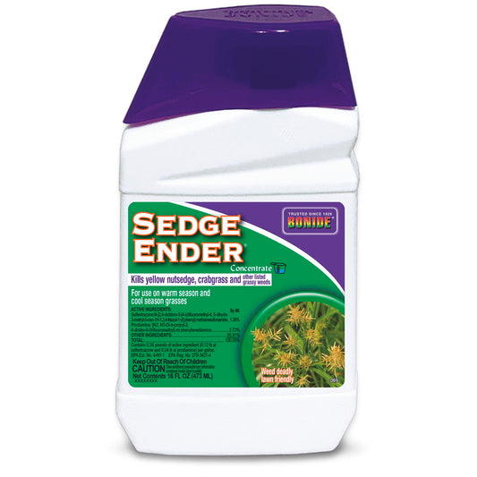 Sedge Ender Concentrate - 16oz