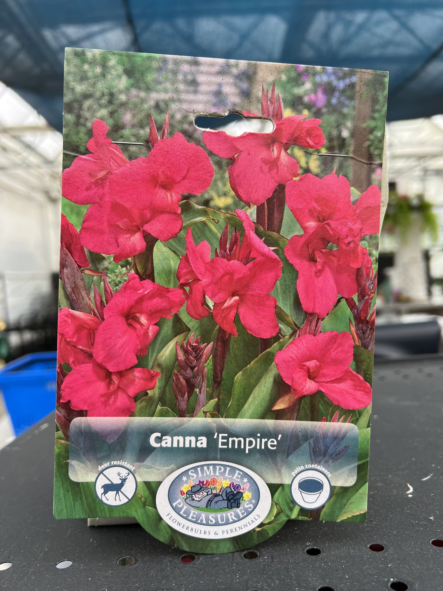 Empire Canna Bulbs