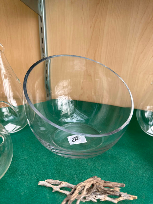 6.25" Tilted Bowl Terrarium
