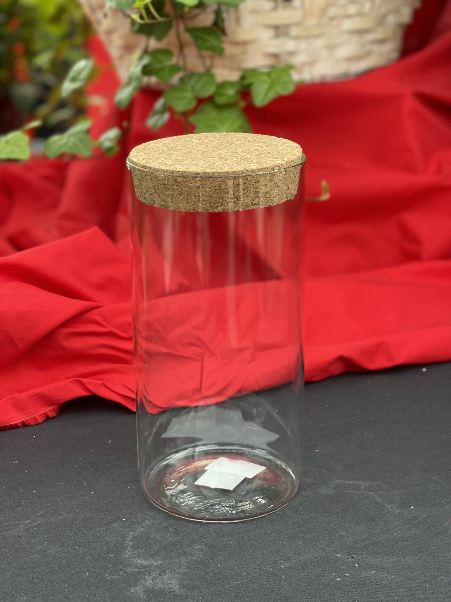 8" Propagation Cylinder with LED Light
