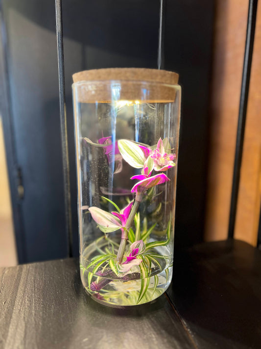 8" Propagation Cylinder with LED Light